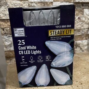 Home Accents Holiday 25 Cool White Steady Lit C9 LED Lights 16 Ft Green Wire